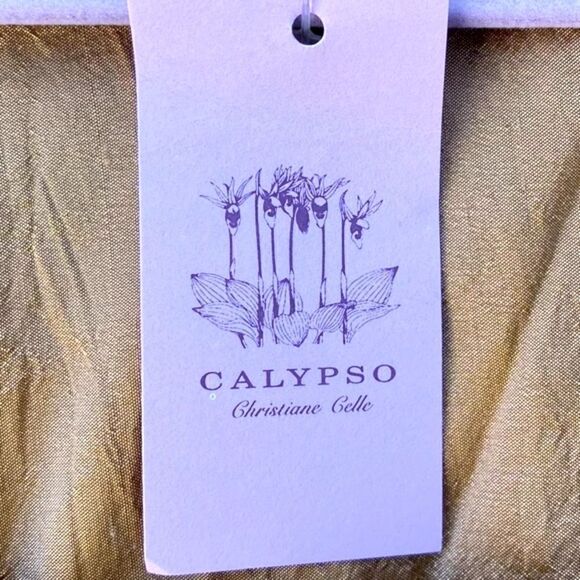 NWT NEW Calypso (Christiane Celle) Gold/Taupe Shimmer Linda Silk Dress. Small - Picture 4 of 6